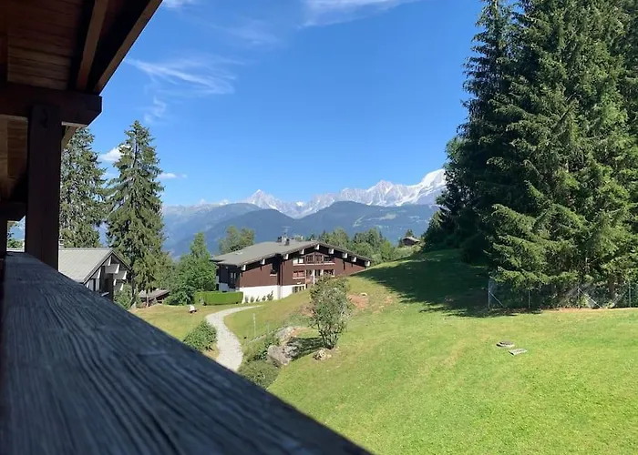 Chalet Le Daim Appartement 6 Pers Vue Mont-Blanc