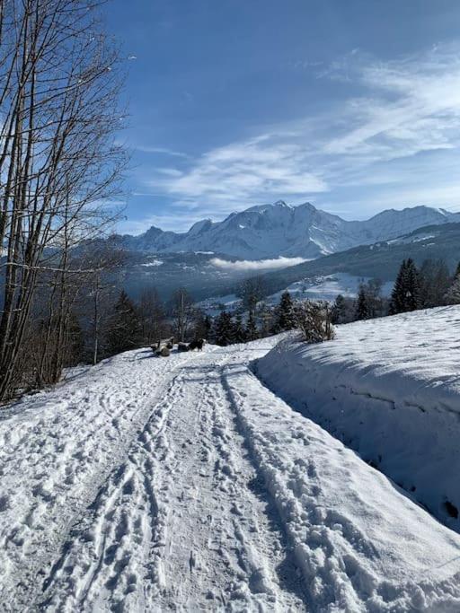 Le Daim 6 Pers Vue Mont-blanc Combloux